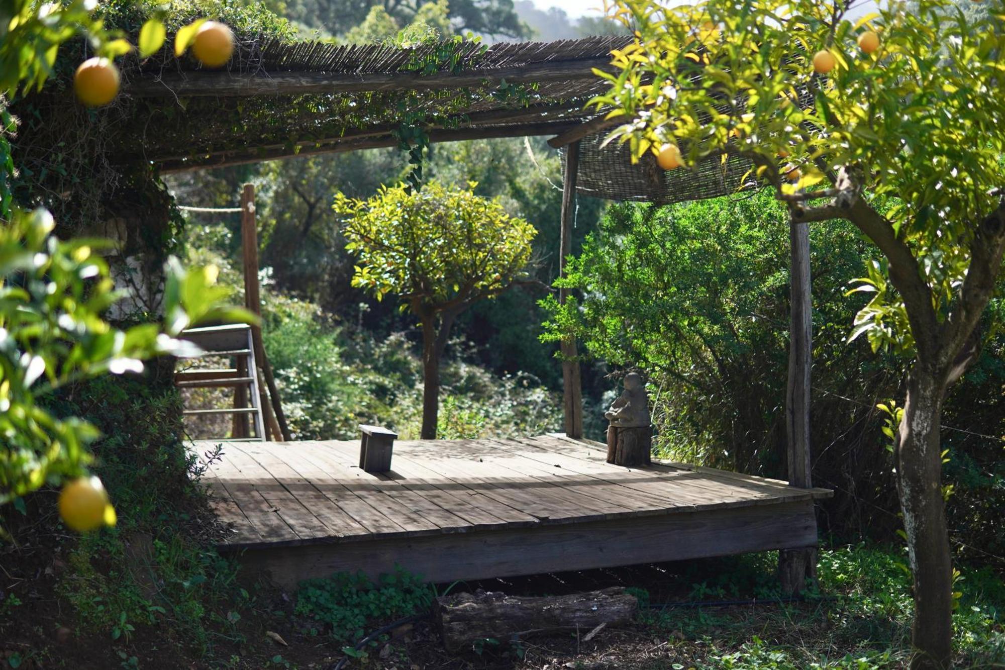 The4Elements Bed & Breakfast Monda Exterior photo